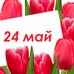 24 май