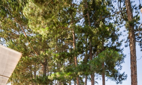 Плаж СПА Хотел Елбрус