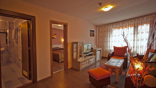 Accommodation at SPA hotel Elbrus, Velingrad.