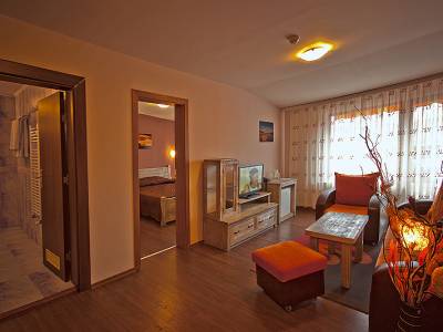 Apartment at SPA hotel Elbus, Velingrad - 2