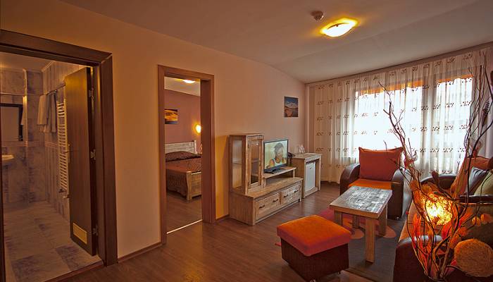 Apartment at SPA hotel Elbus, Velingrad - 2