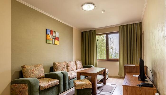 Deluxe Suite 