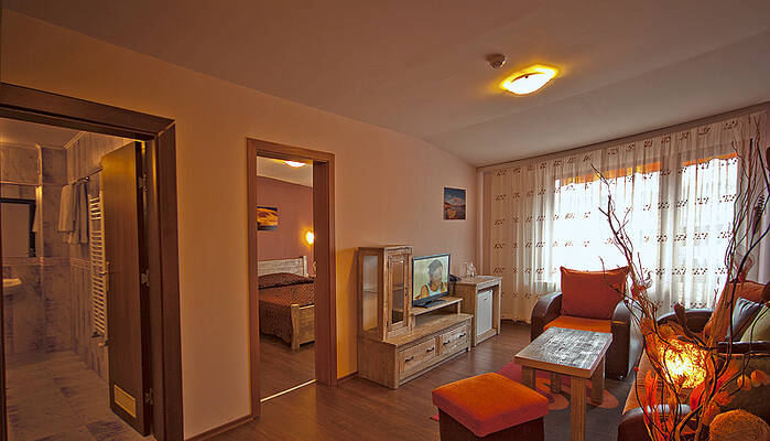 Apartment at SPA hotel Elbus, Velingrad - 2