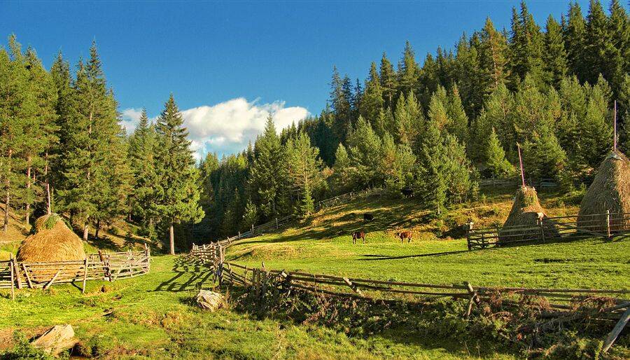 Photohunt at SPA hotel Elbrus-4